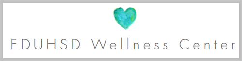 Wellness center log